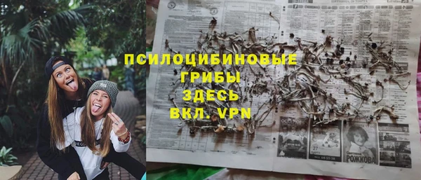 сатива Баксан