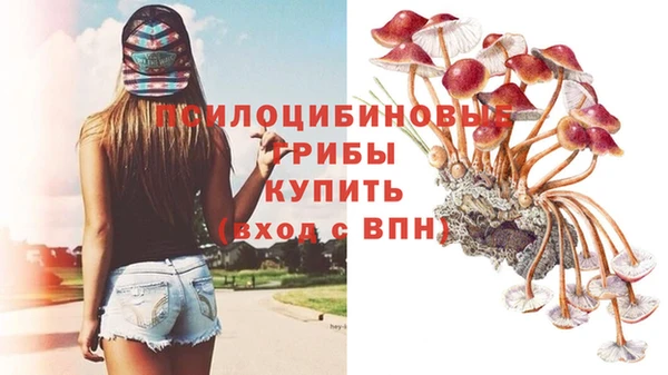 молекула духа Балахна
