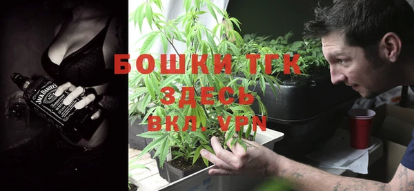 сатива Баксан